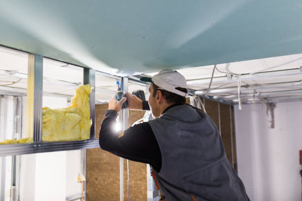 Types of Insulation We Offer in Edmore, MI